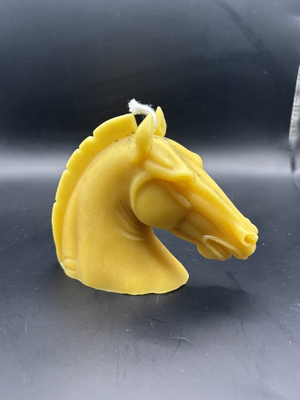 Tête cheval moyenne