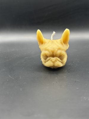 Bouledogue pas content