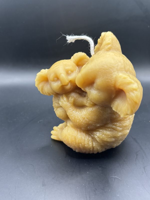 Koala avec son Bébé