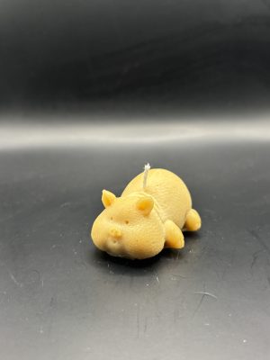 Cochon couché souffle