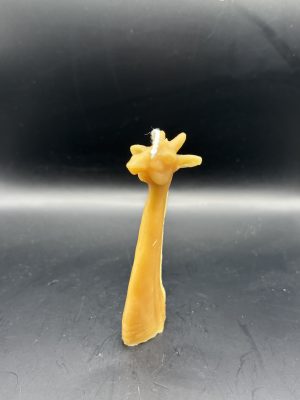Girafe Tête