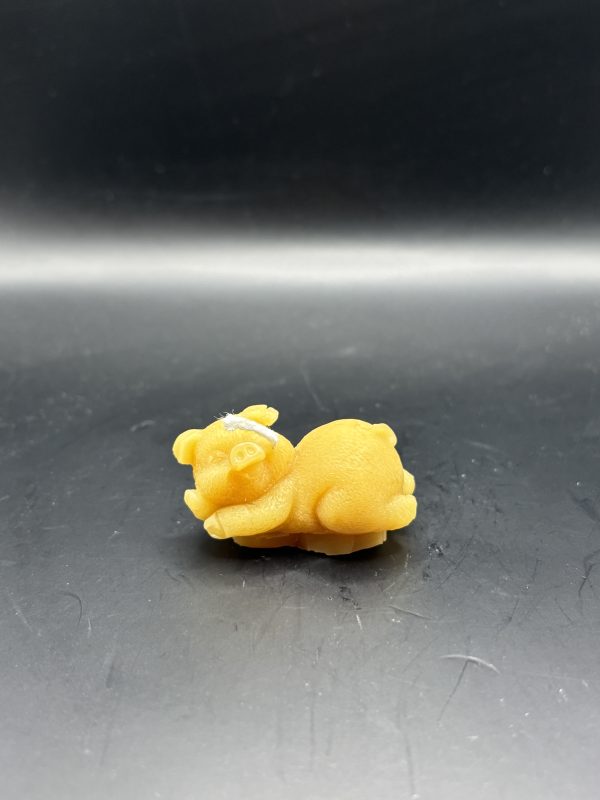 Cochon petit couché côté