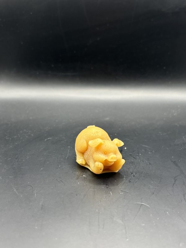 Cochon petit couché face