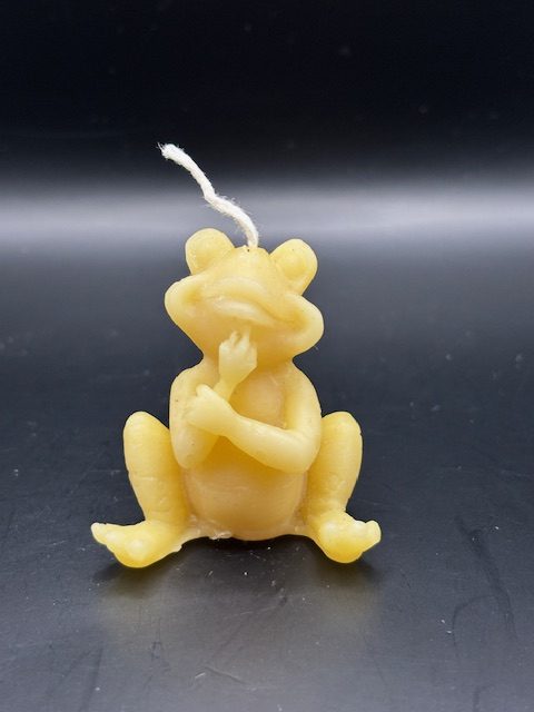 Grenouille qui pense