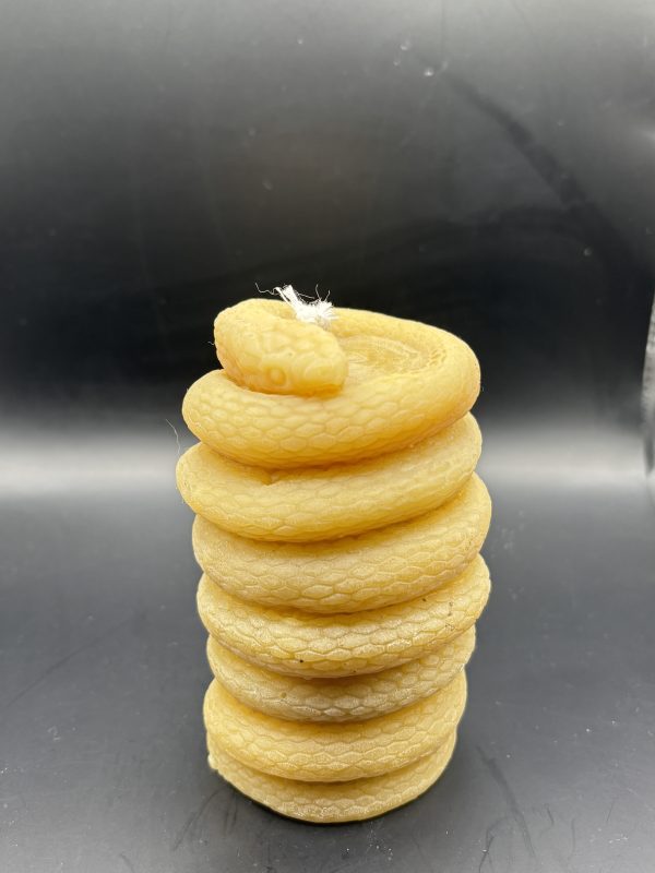 Serpent enroulé cylindre