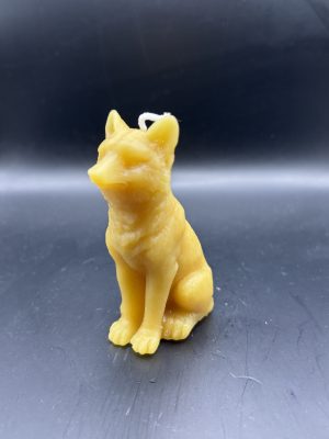 434 - Loup assis Loup assis