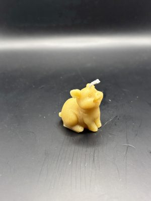 Cochon petit assis tête levée