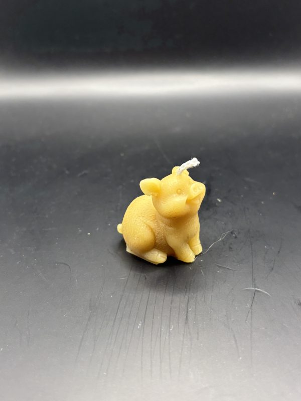 602 - Cochon petit assis tête levée Cochon petit assis tête levée