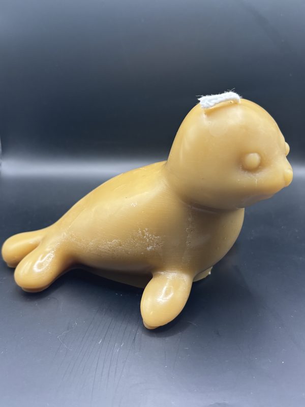 606 - Bébé Phoque XL Bébé Phoque XL