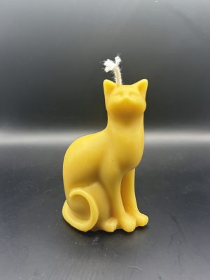 Chat moderne queue tordue