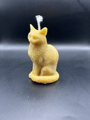 Chat assis queue enroulée